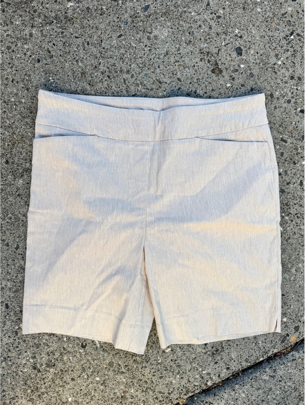 Hilary Radley Beige Rayon Blend Dress Shorts Size L/G